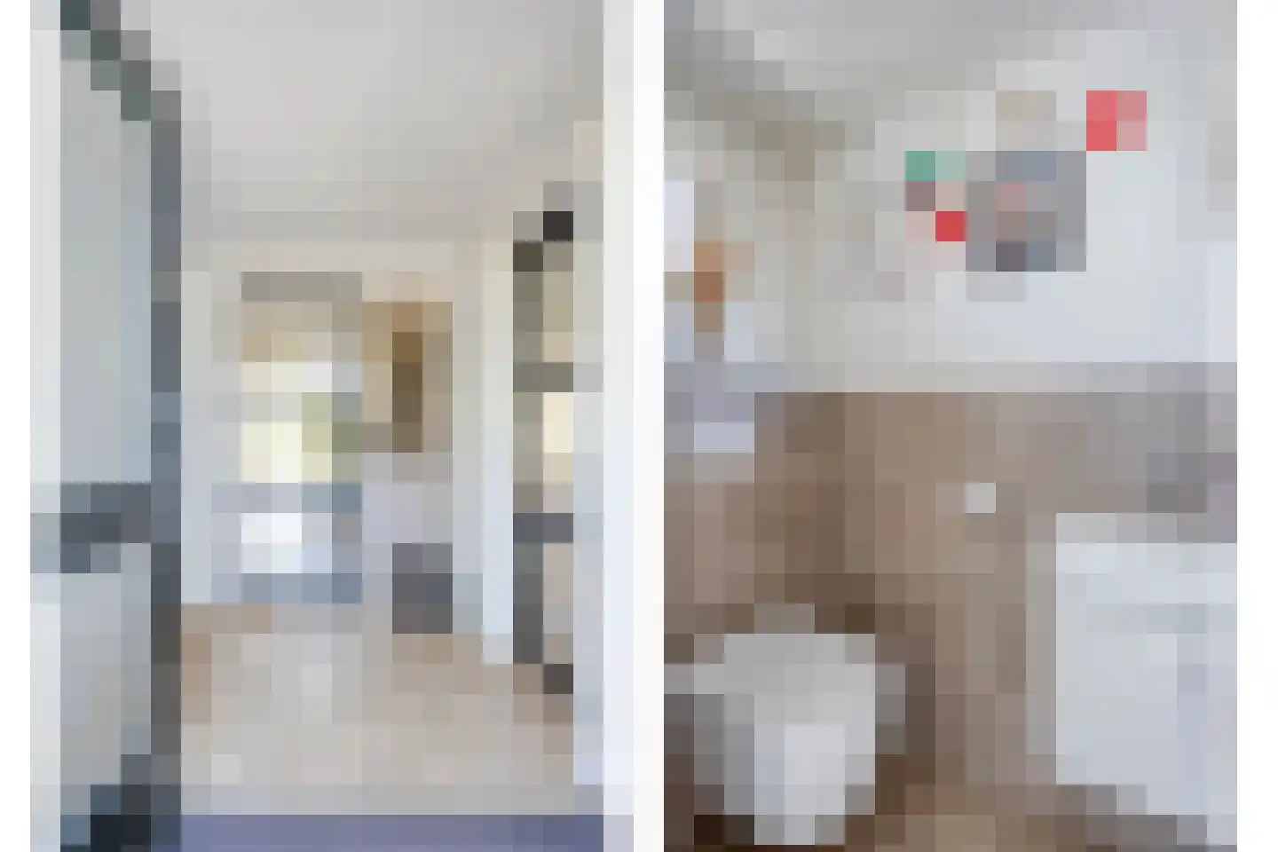 Uitspanning 11 Mijdrecht thumbnail 6