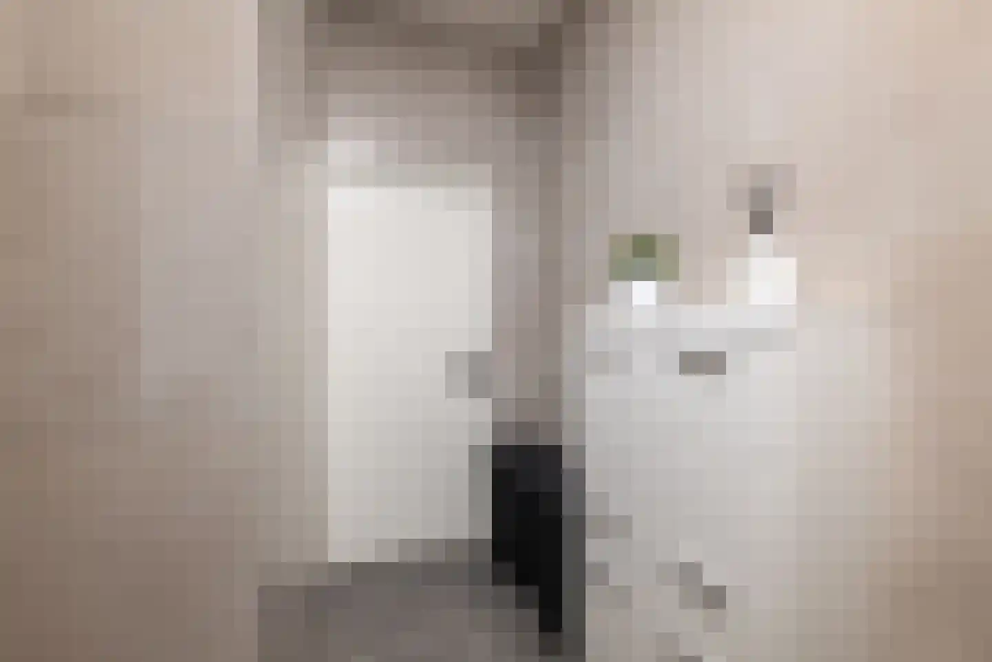 Uitstraat 167 Spijkenisse thumbnail 17