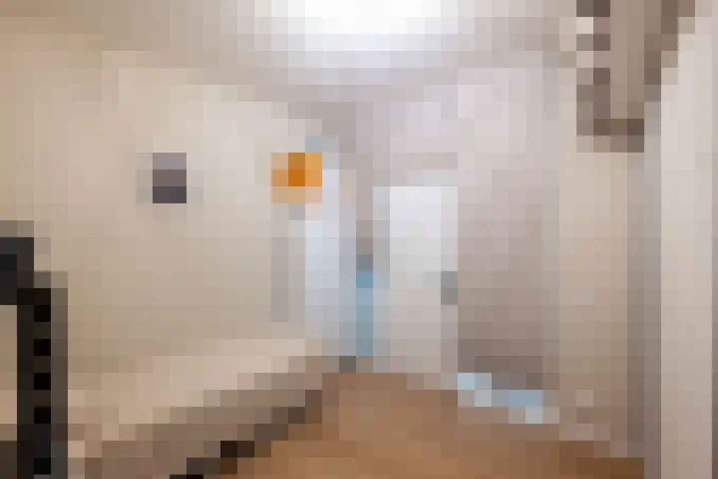 Uitstraat 167 Spijkenisse thumbnail 31