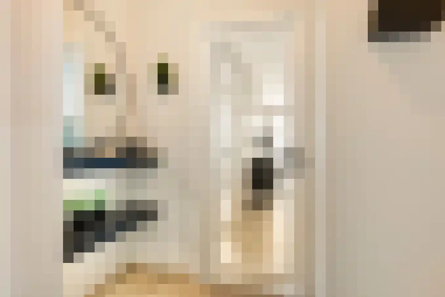 Uitstraat 193 Spijkenisse thumbnail 11