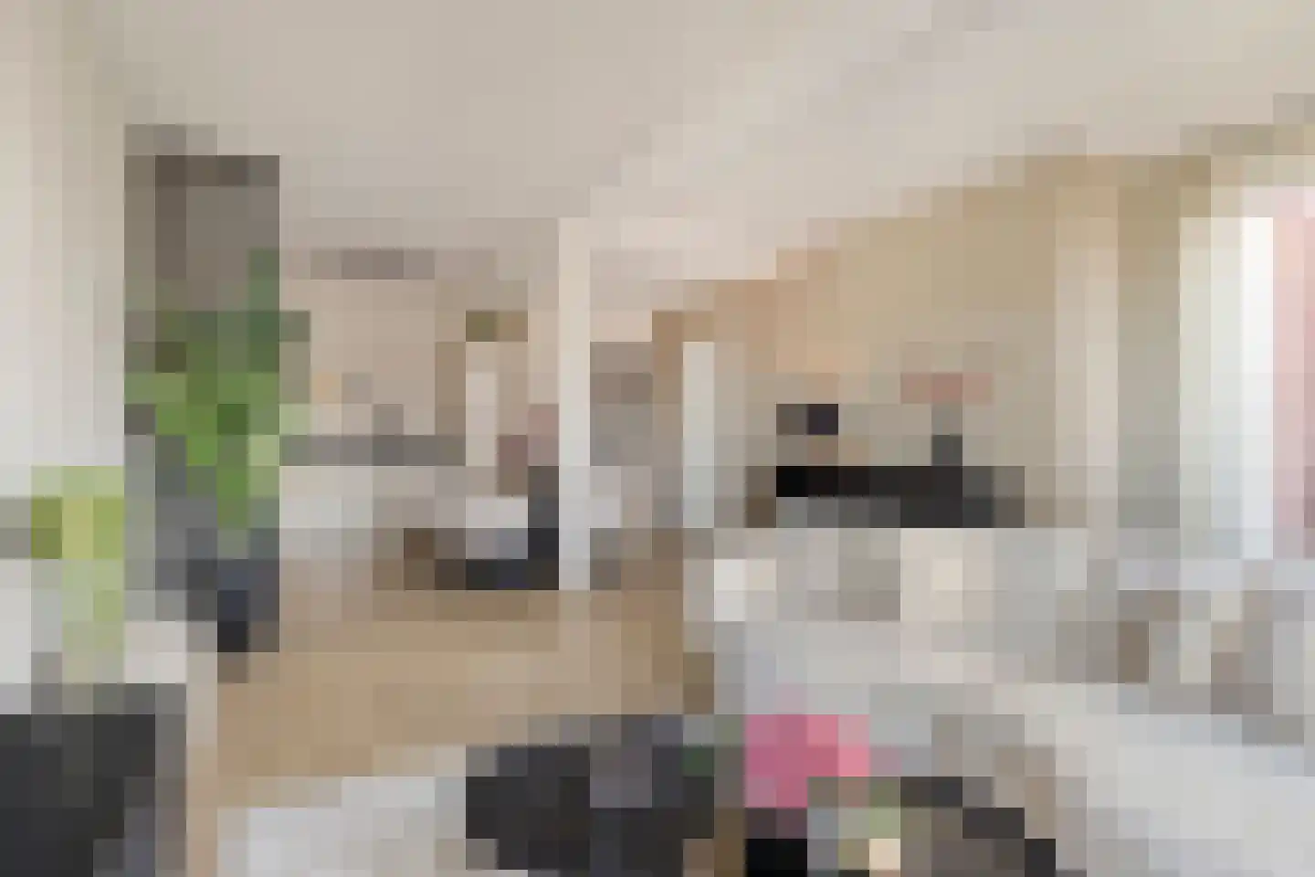 Uitstraat 193 Spijkenisse thumbnail 21