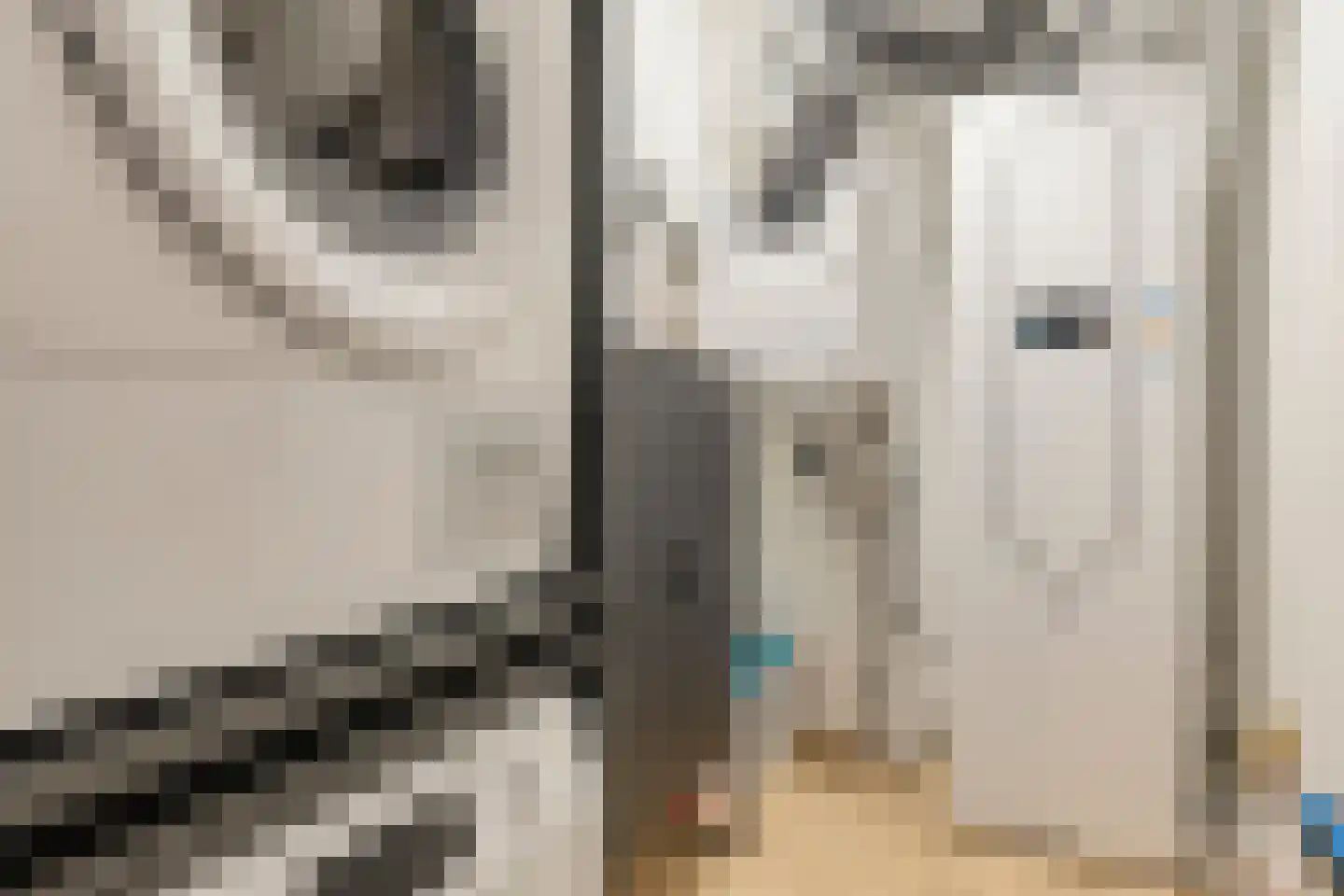 Uitstraat 193 Spijkenisse thumbnail 39