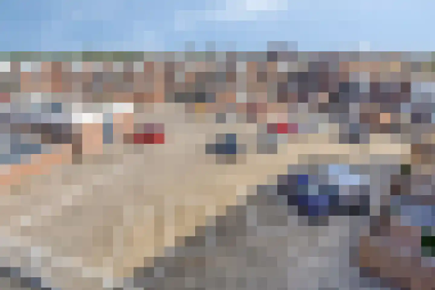 Uitstraat 193 Spijkenisse thumbnail 40