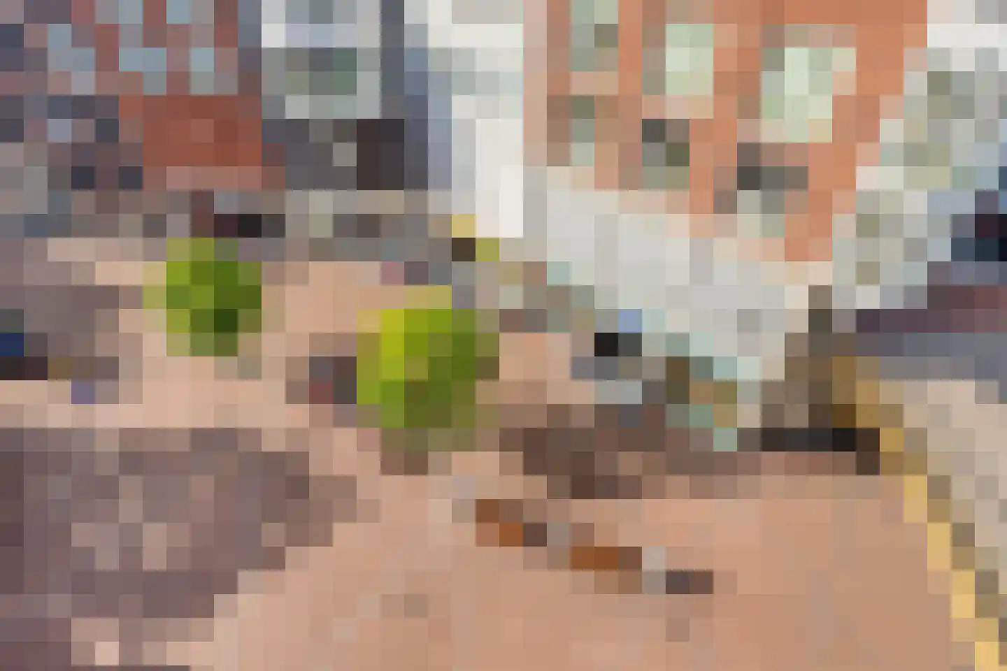 Uitstraat 193 Spijkenisse thumbnail 45