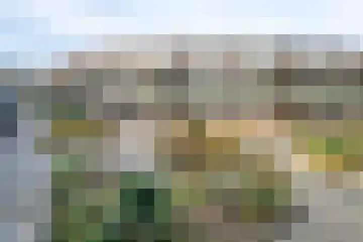 Uitstraat 41 Spijkenisse thumbnail 25