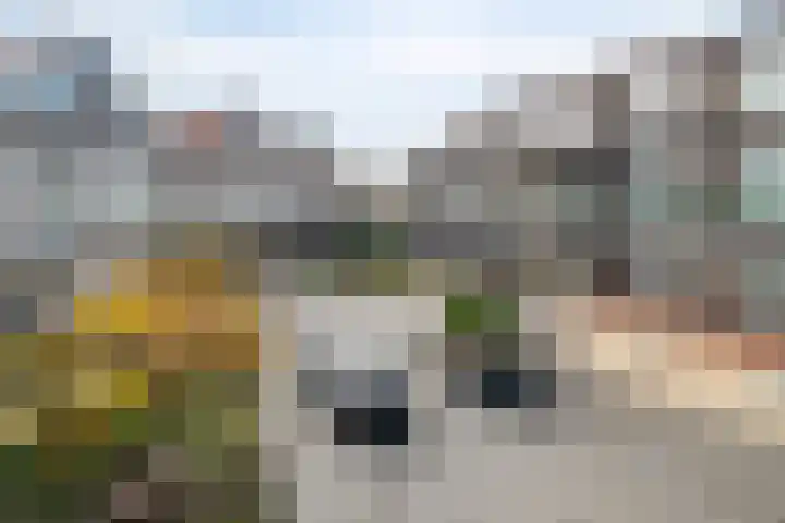 Uitstraat 41 Spijkenisse thumbnail 26