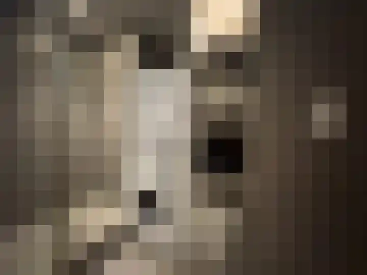 Uitstraat 64 Spijkenisse thumbnail 11
