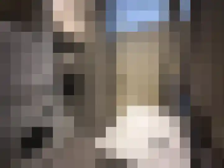 Uitstraat 64 Spijkenisse thumbnail 12