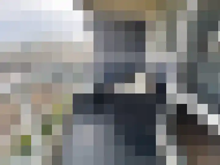 Uitstraat 64 Spijkenisse thumbnail 19