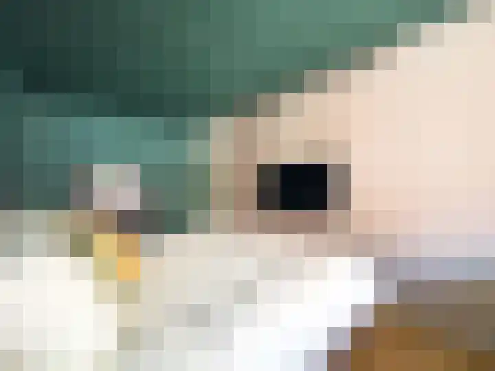 Uitstraat 64 Spijkenisse thumbnail 23