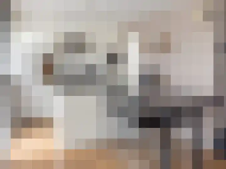 Uitstraat 64 Spijkenisse thumbnail 4
