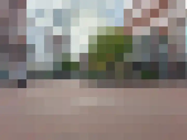 Uitstraat 64 Spijkenisse thumbnail 6