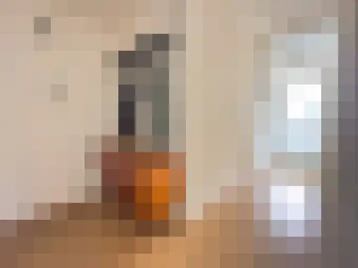 Uitstraat 64 Spijkenisse thumbnail 9