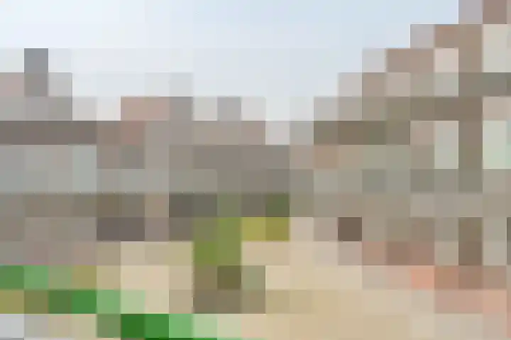 Uitstraat 65 Spijkenisse thumbnail 10
