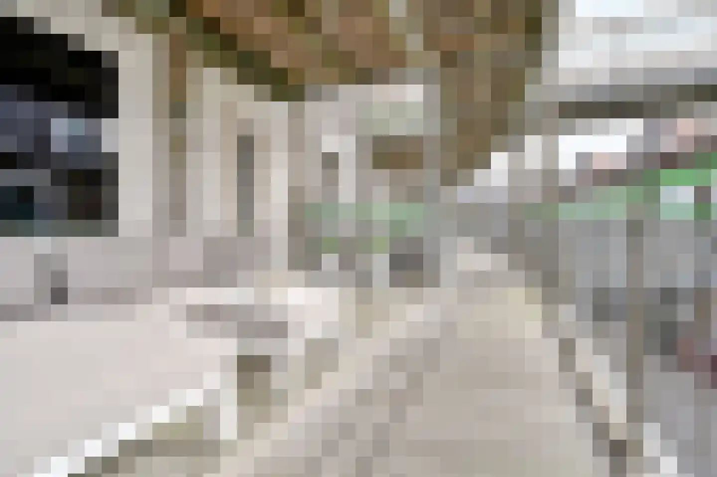 Uitstraat 65 Spijkenisse thumbnail 11