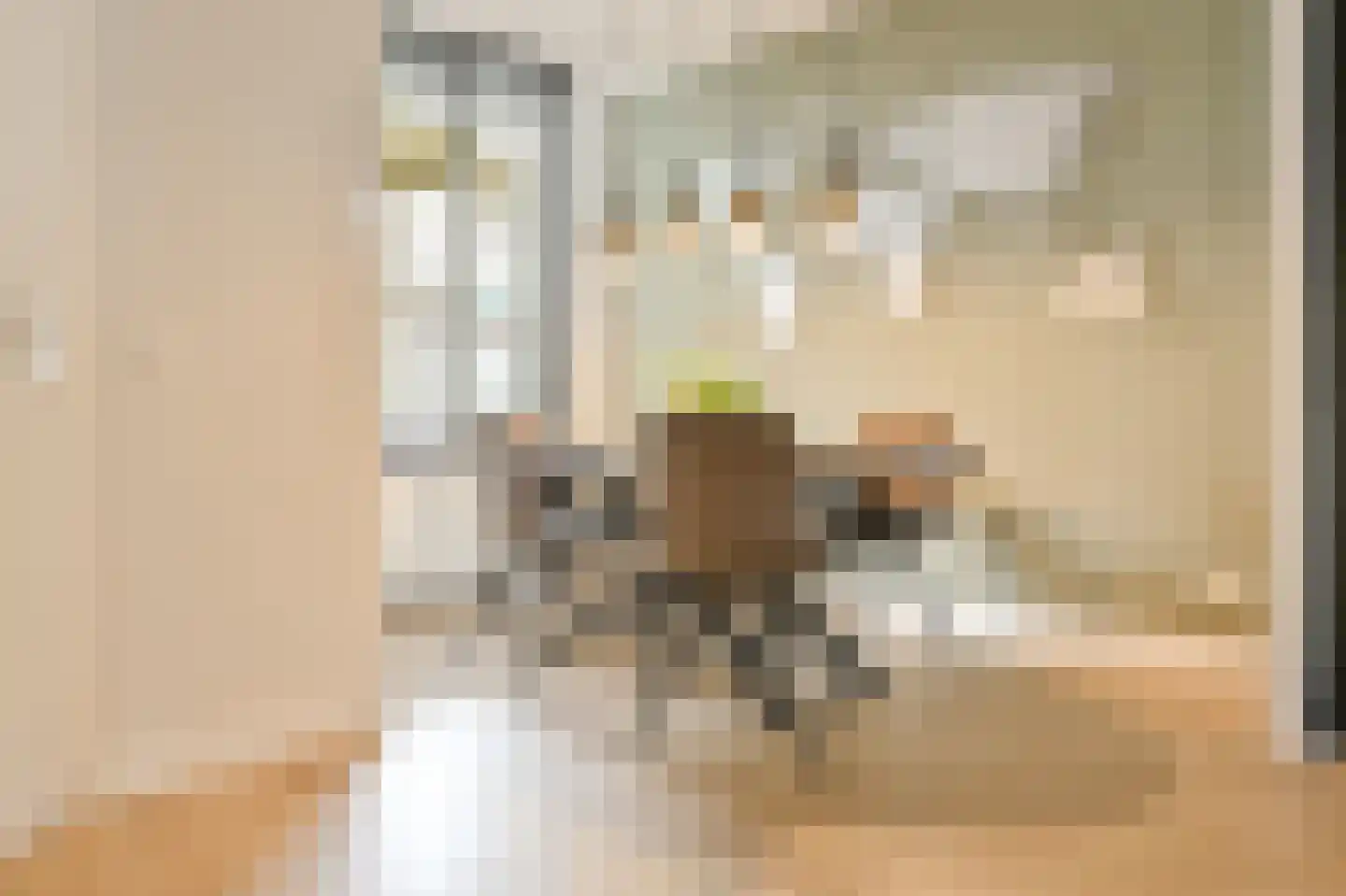 Uitstraat 65 Spijkenisse thumbnail 14