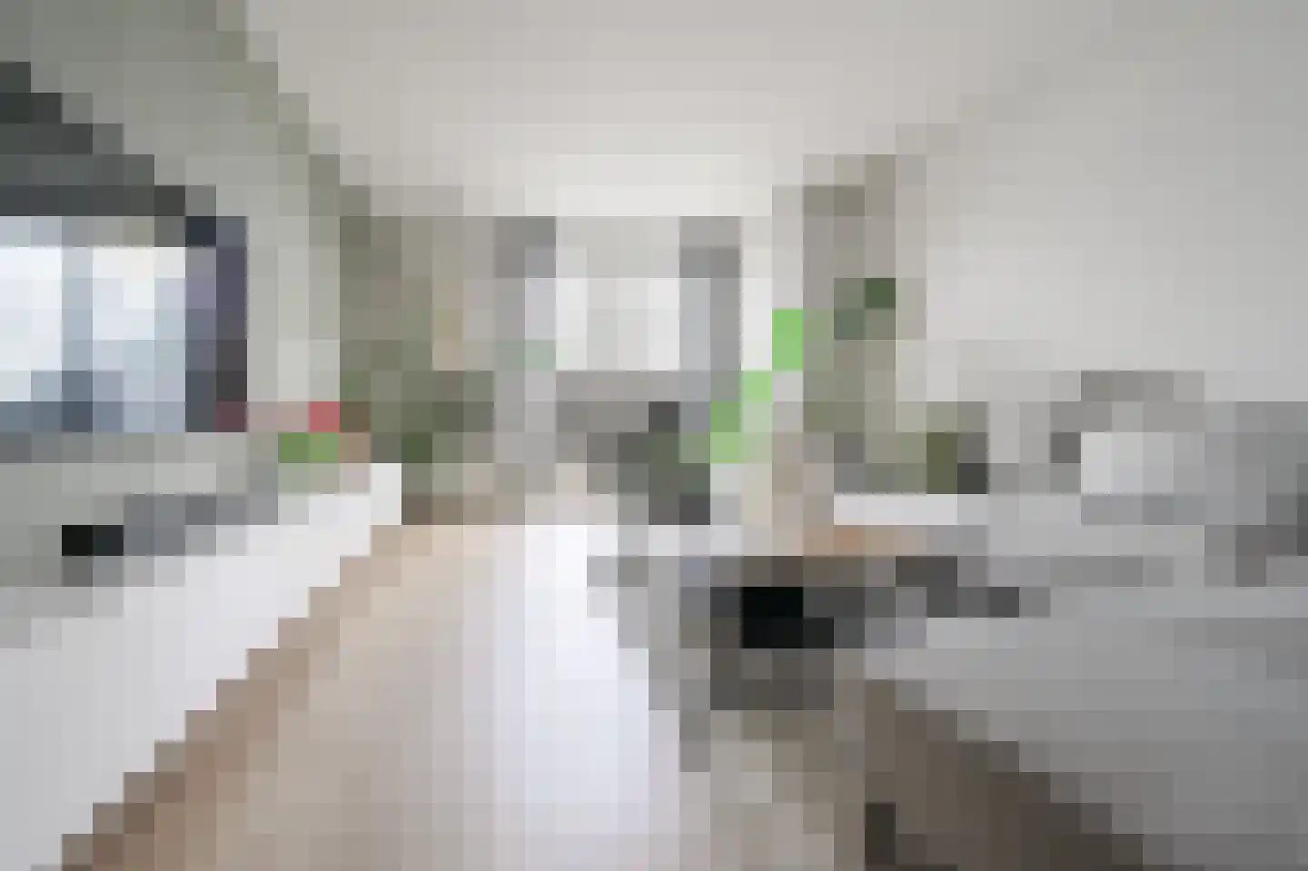Uitstraat 65 Spijkenisse thumbnail 16