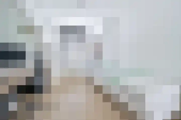 Uitstraat 65 Spijkenisse thumbnail 27