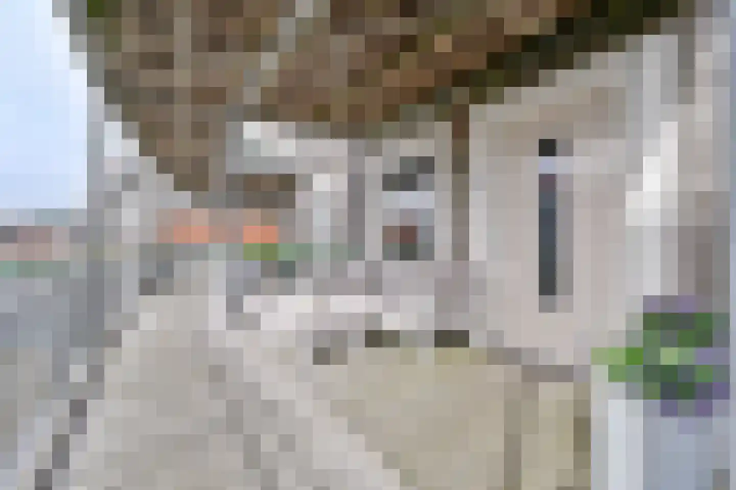 Uitstraat 65 Spijkenisse thumbnail 5