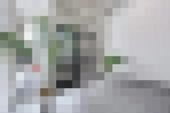 Uitstraat 65 Spijkenisse thumbnail 9