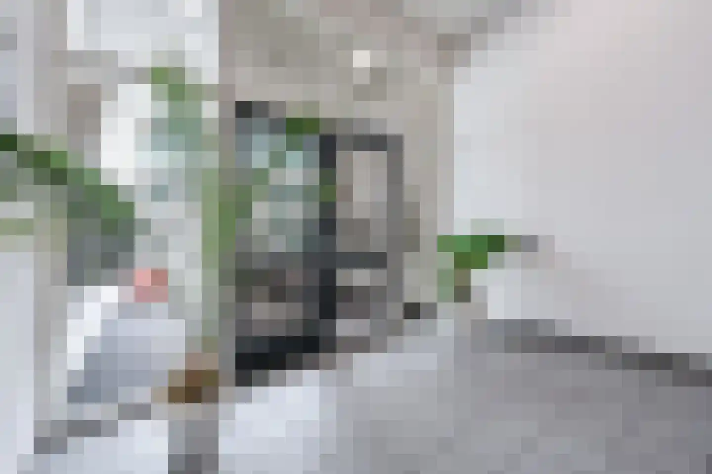 Uitstraat 65 Spijkenisse thumbnail 9