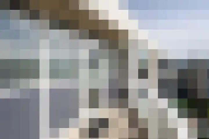 Uitstraat 68 Spijkenisse thumbnail 17