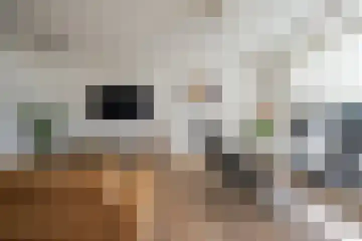 Uitstraat 68 Spijkenisse thumbnail 18