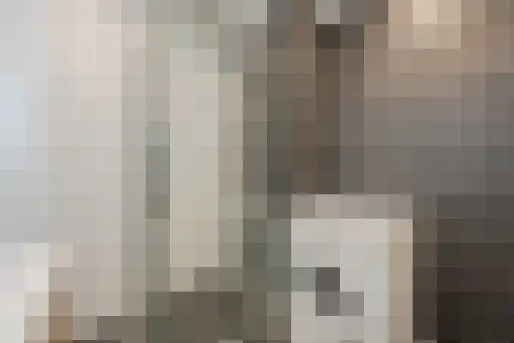 Uitstraat 68 Spijkenisse thumbnail 5