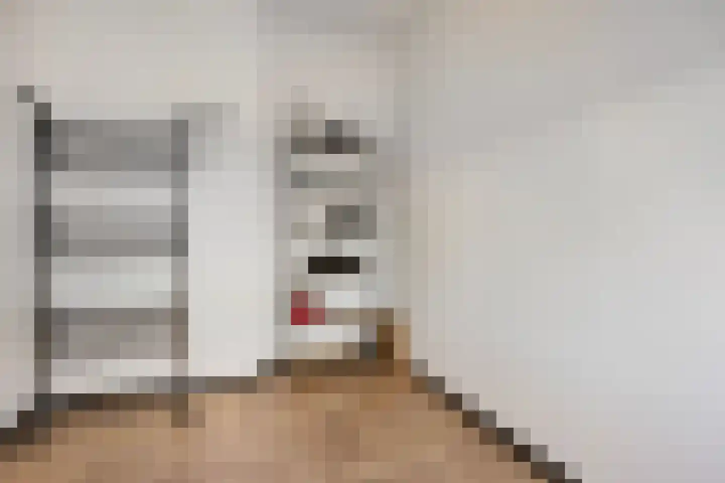 Uitstraat 73 Spijkenisse thumbnail 18