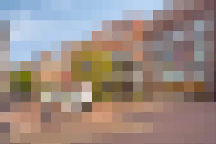 Uitstraat 79 Spijkenisse thumbnail 24