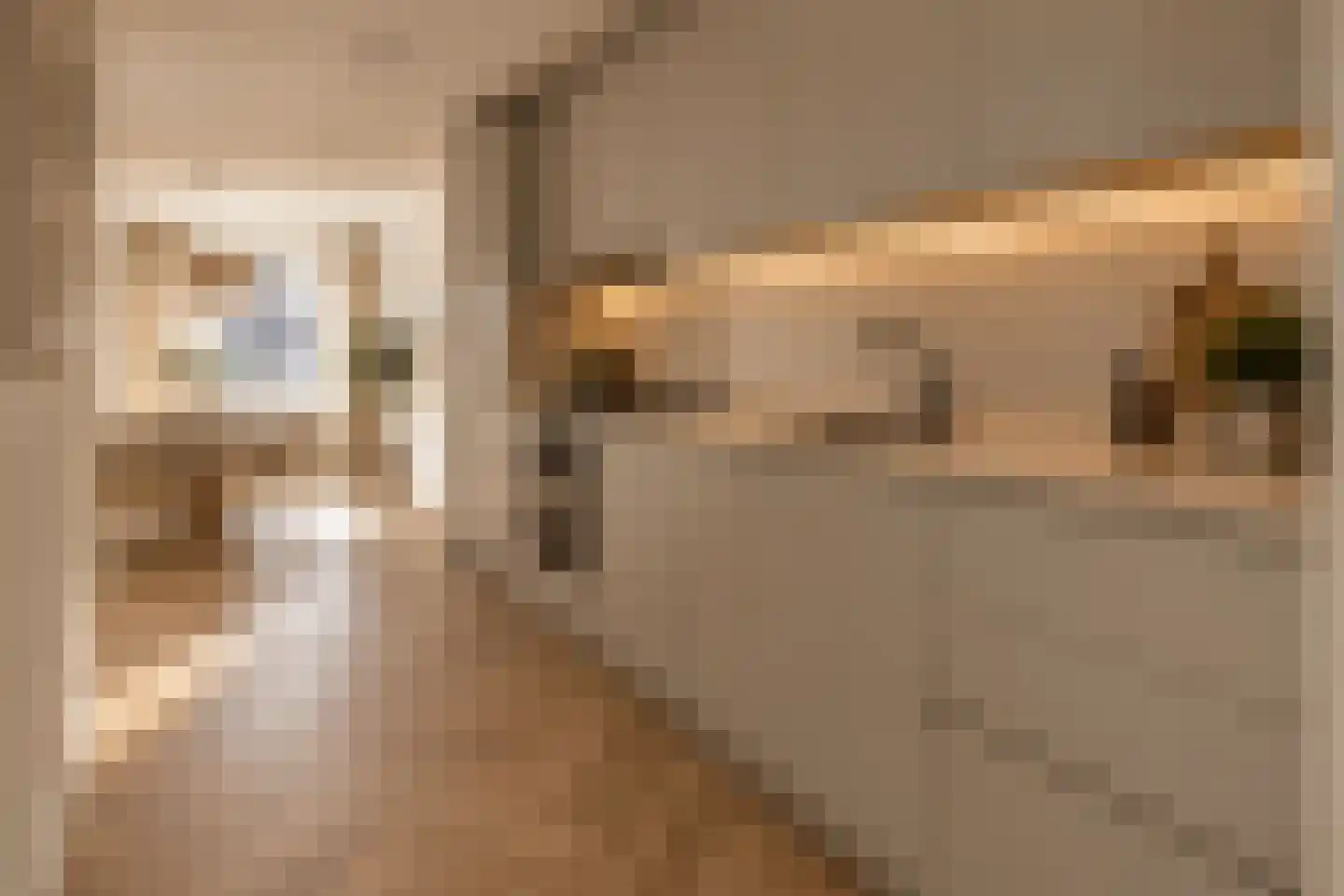 Uitstraat 89 Spijkenisse thumbnail 4