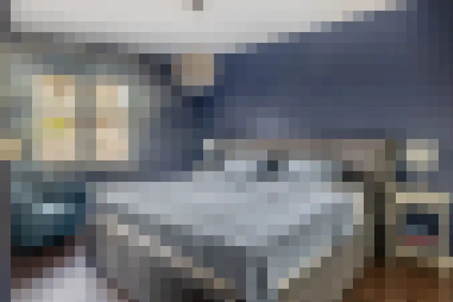 Uitstraat 9 Spijkenisse thumbnail 15