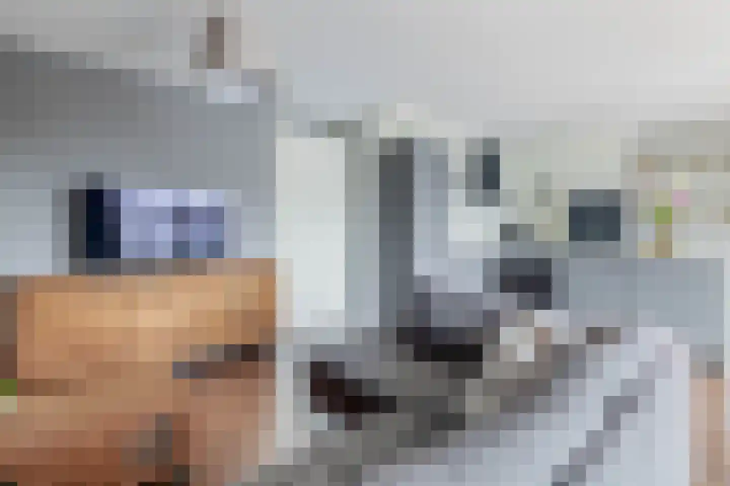 Uitstraat 9 Spijkenisse thumbnail 24