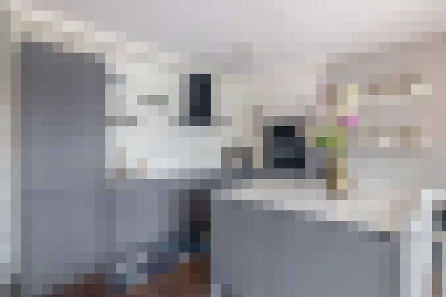 Uitstraat 9 Spijkenisse thumbnail 27