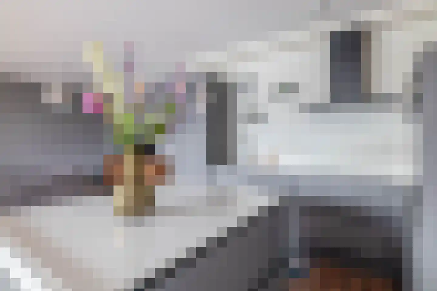 Uitstraat 9 Spijkenisse thumbnail 29