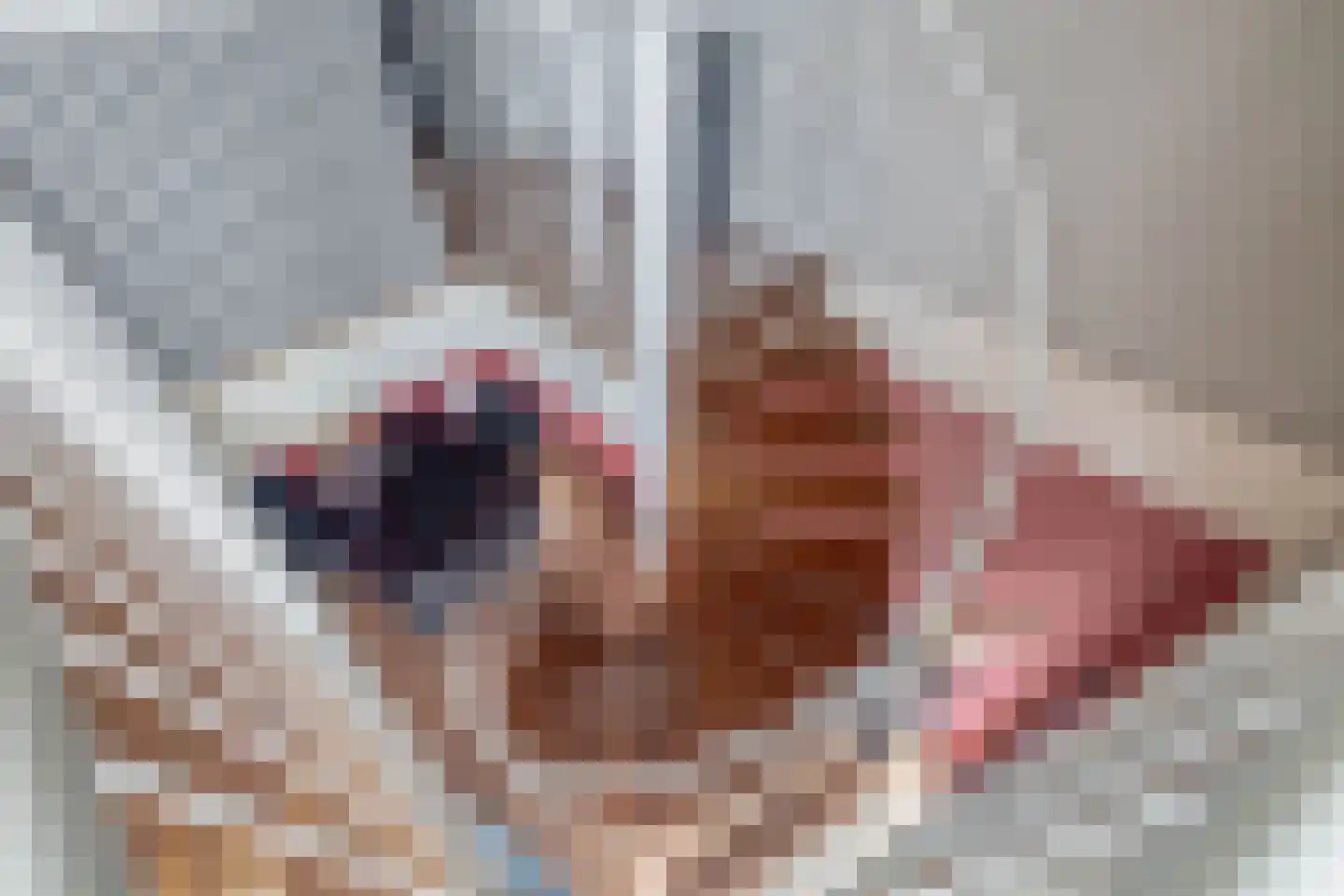 Uitstraat 9 Spijkenisse thumbnail 32