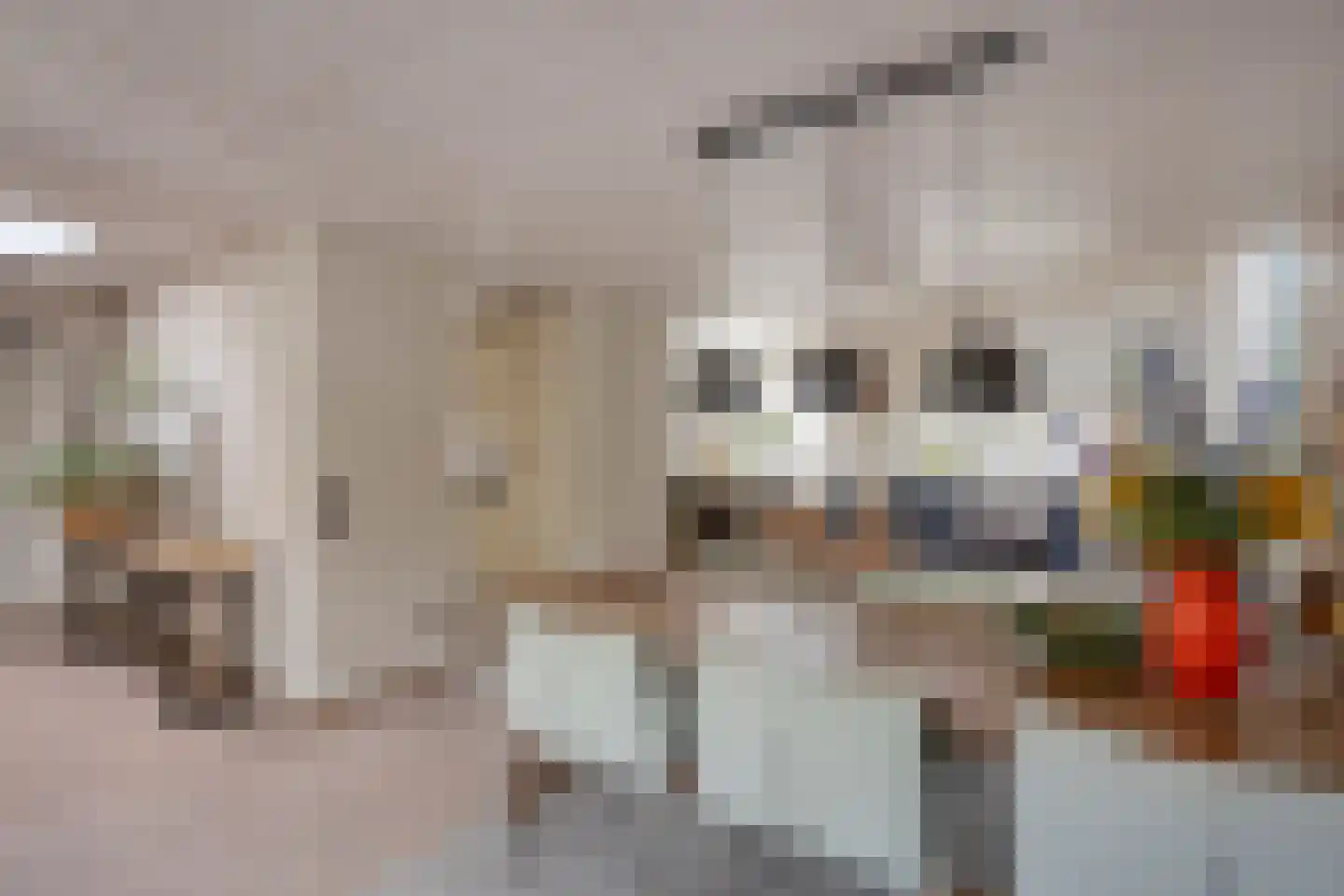 Uitstroom 9 Oss thumbnail 17