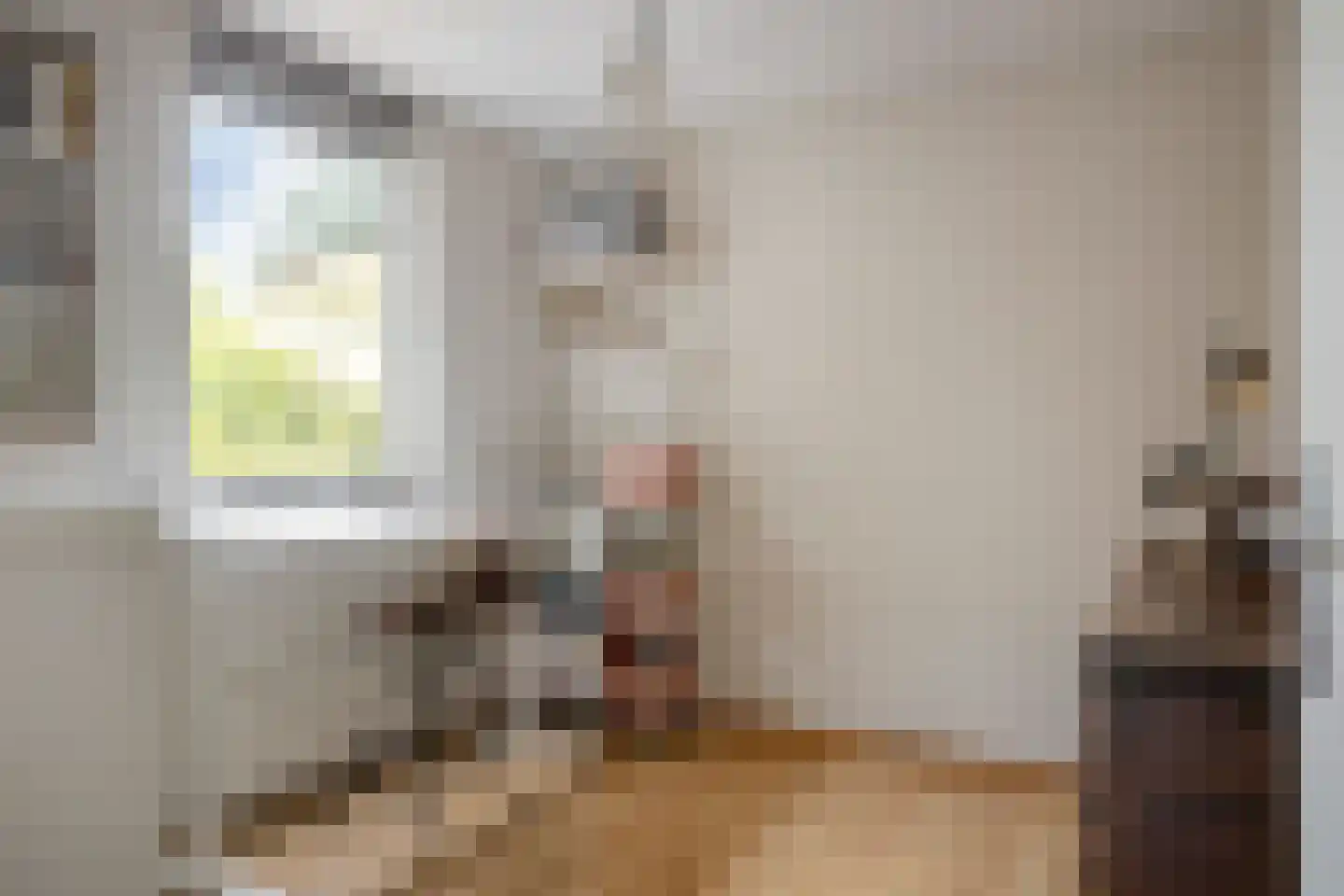 Uitstroom 9 Oss thumbnail 27