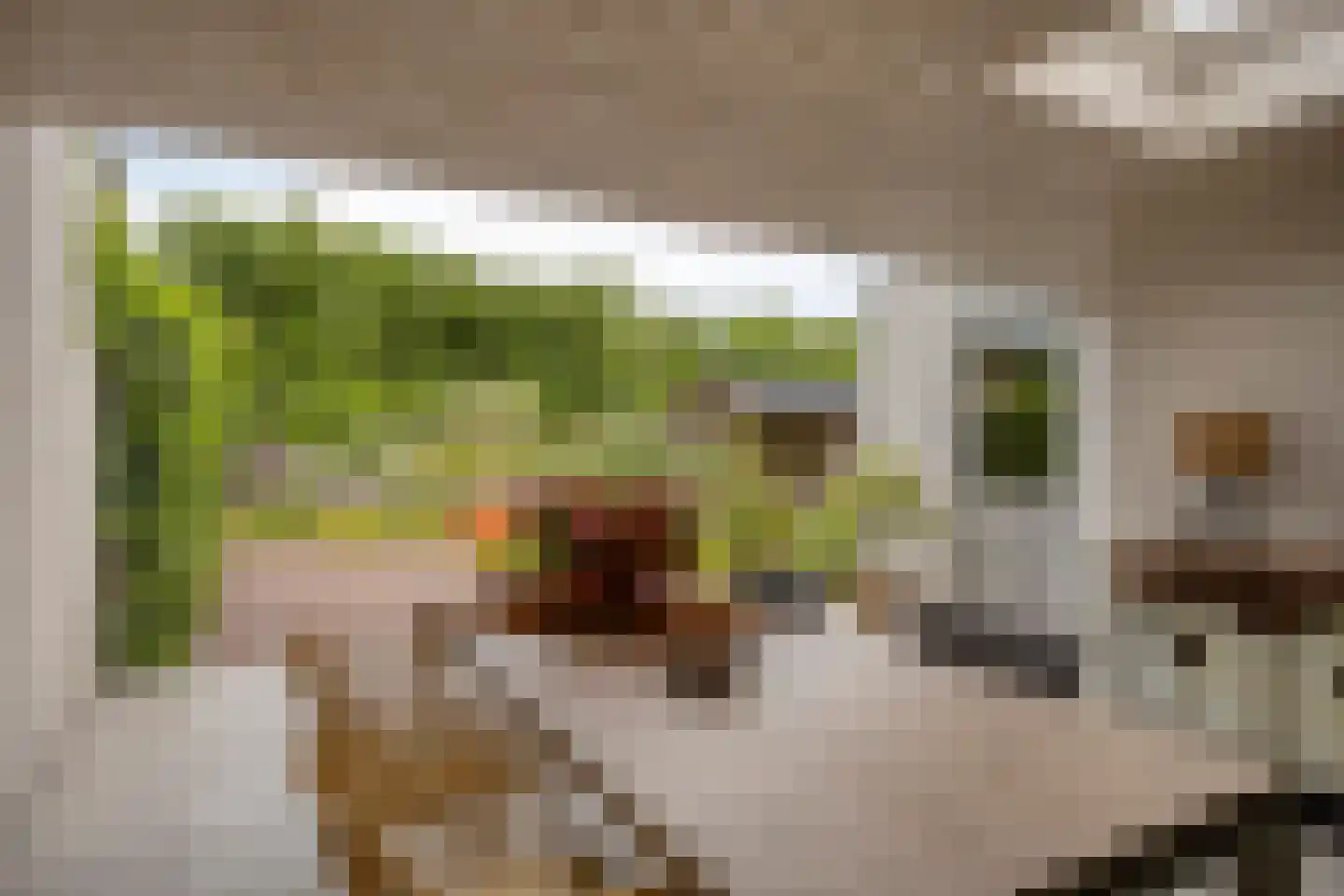 Uitstroom 9 Oss thumbnail 34