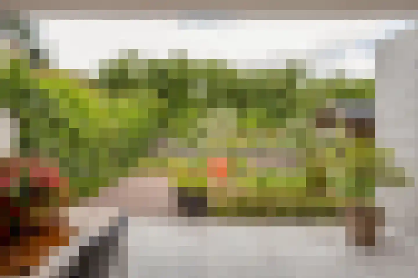Uitstroom 9 Oss thumbnail 37