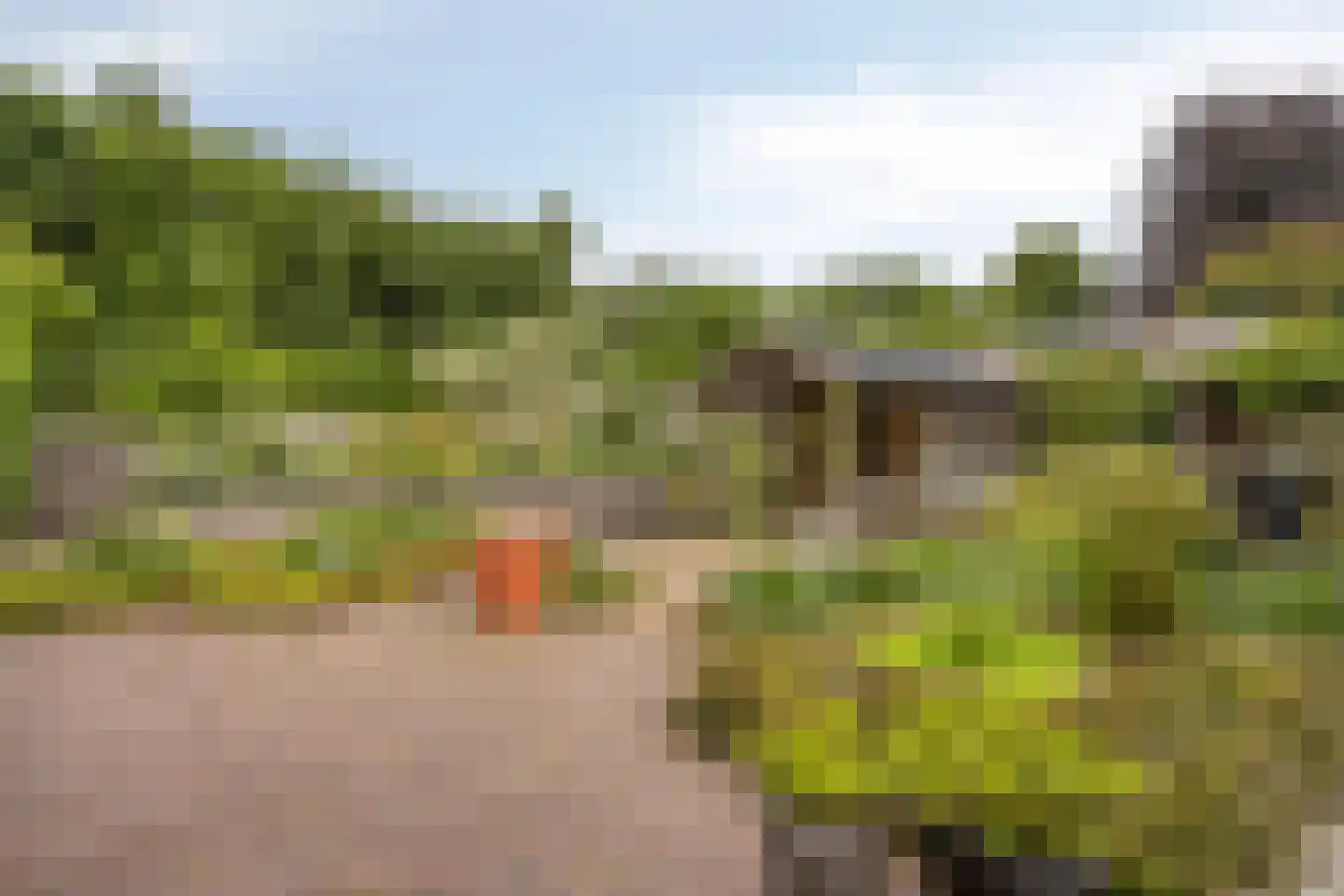 Uitstroom 9 Oss thumbnail 38