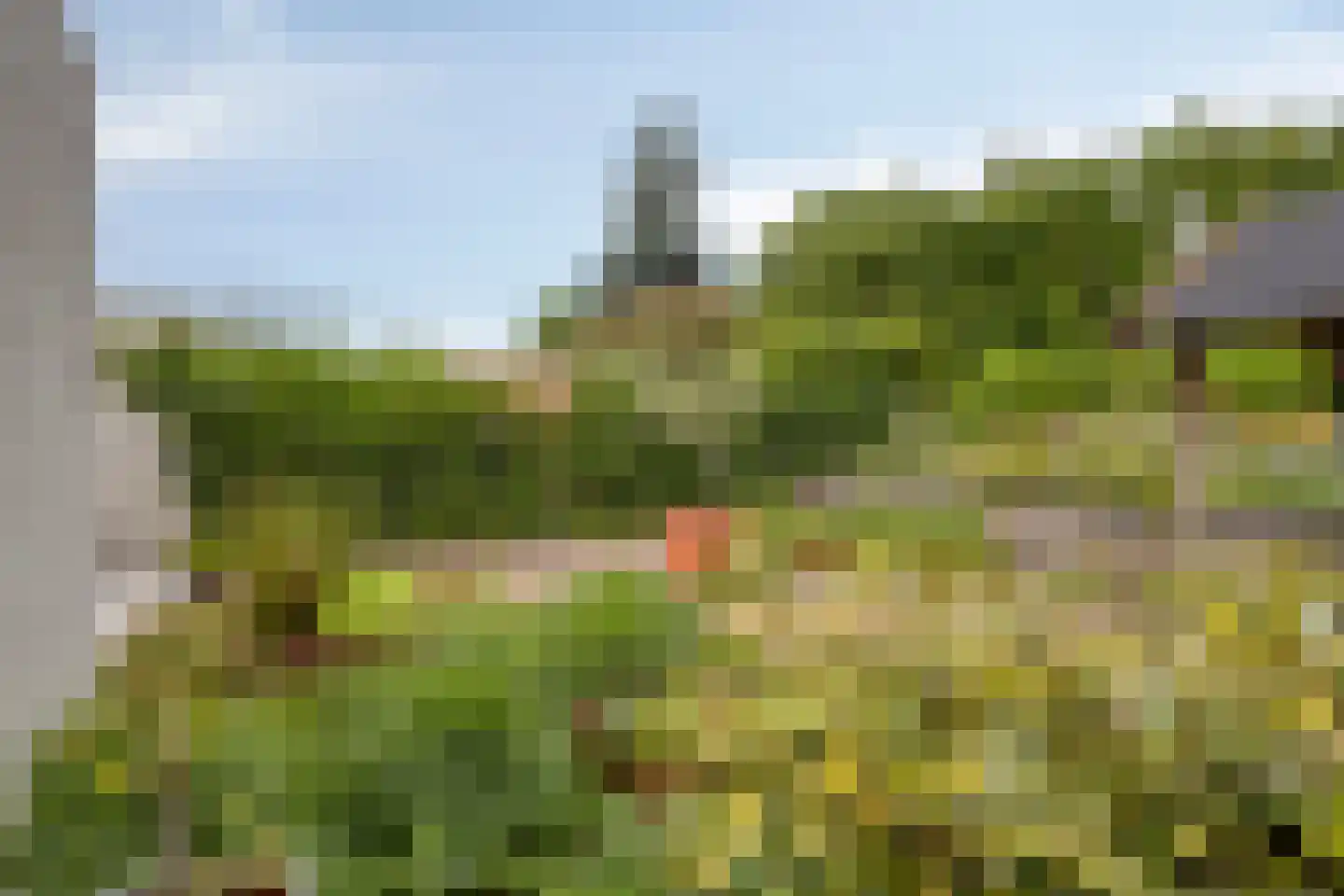 Uitstroom 9 Oss thumbnail 39