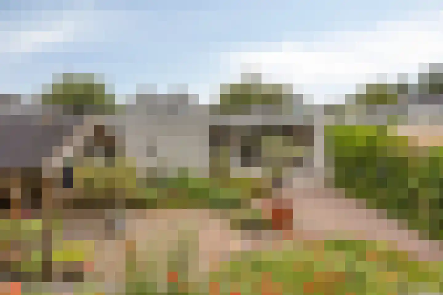 Uitstroom 9 Oss thumbnail 41