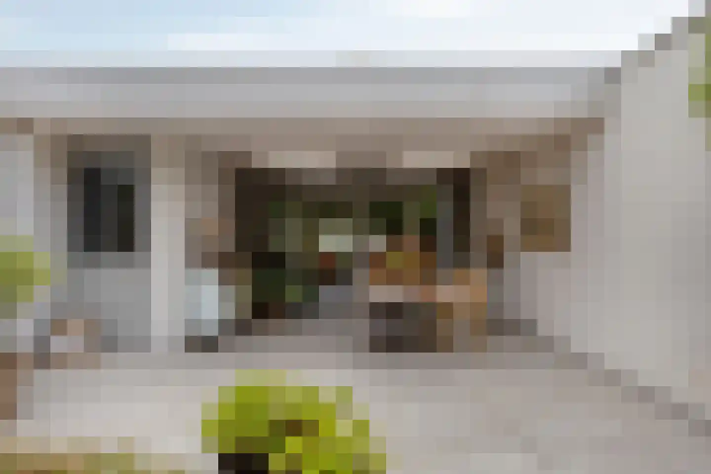 Uitstroom 9 Oss thumbnail 42