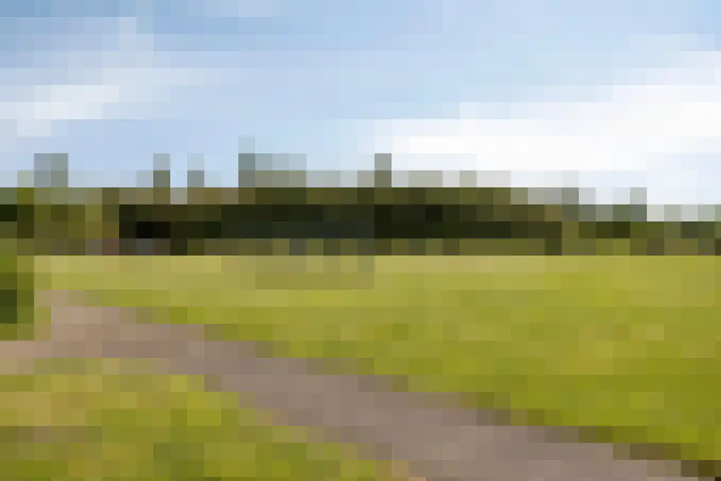 Uitstroom 9 Oss thumbnail 44