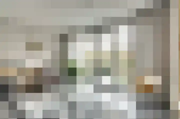 Uitterlier 106 De Lier thumbnail 10