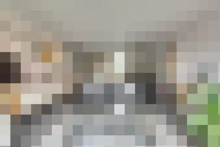 Uitterlier 106 De Lier thumbnail 11