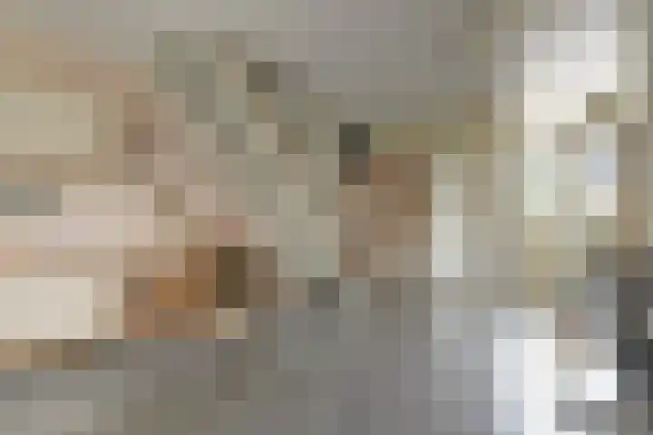 Uitterlier 106 De Lier thumbnail 12