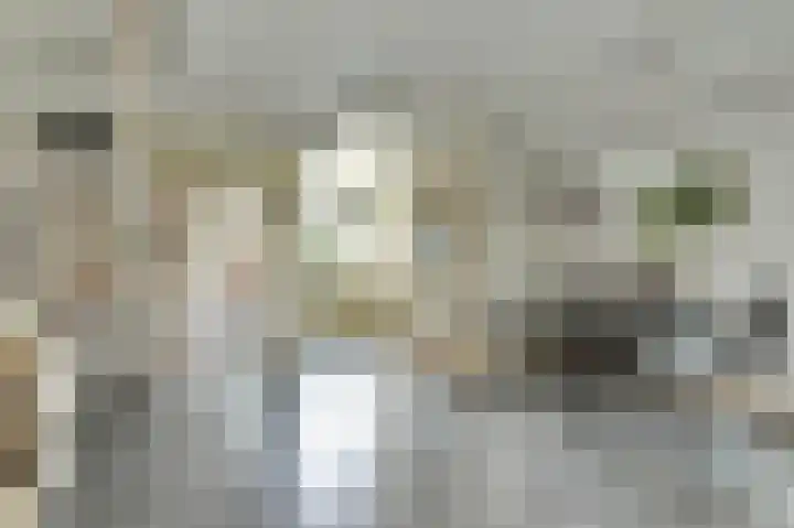 Uitterlier 106 De Lier thumbnail 13