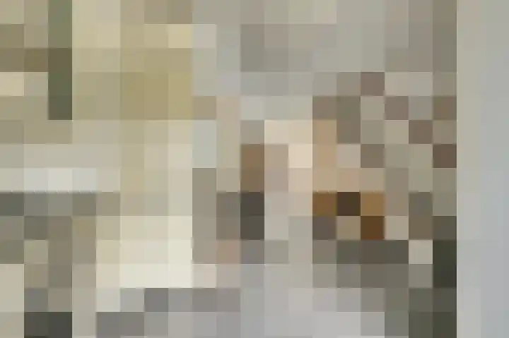 Uitterlier 106 De Lier thumbnail 14